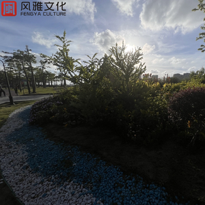 免费裸体奶头❌羞羞视频网站
